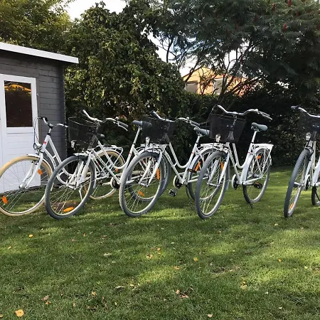 „opa's Tohuus“mit Fahrraedern,